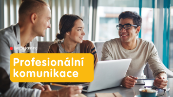 Profesionalni_komunikace