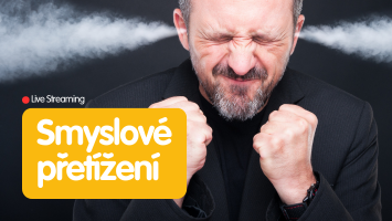 smyslove pretizeni